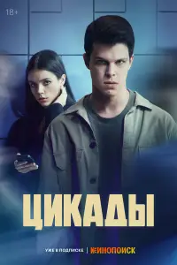 Цикады смотреть